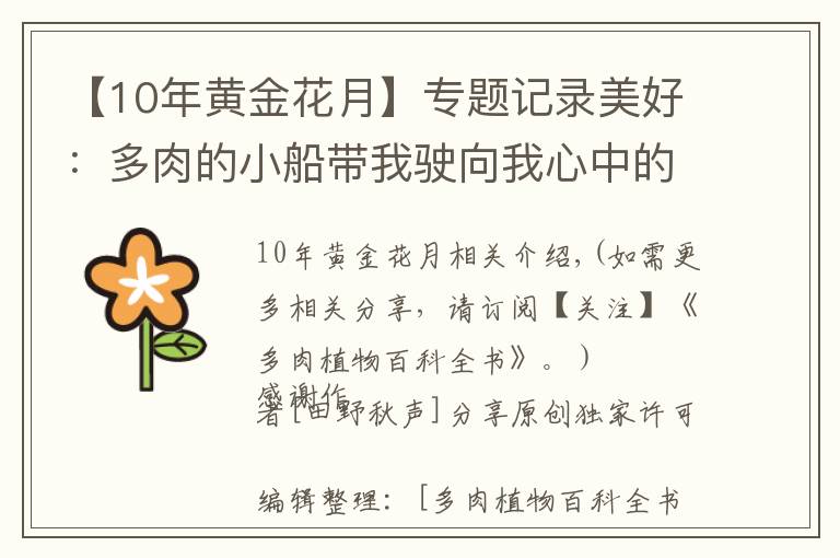 【10年黄金花月】专题记录美好:多肉的小船带我驶向我心中的诗和远方