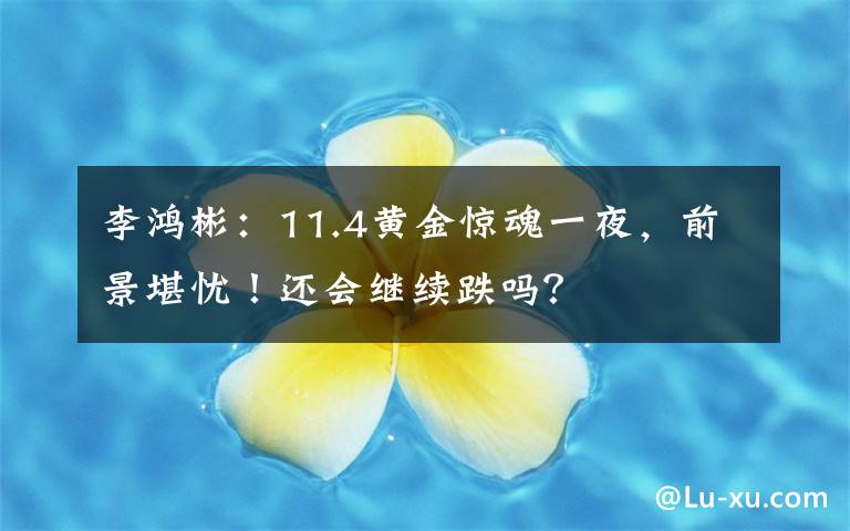 李鸿彬:11.4黄金惊魂一夜,前景堪忧!还会继续跌吗?