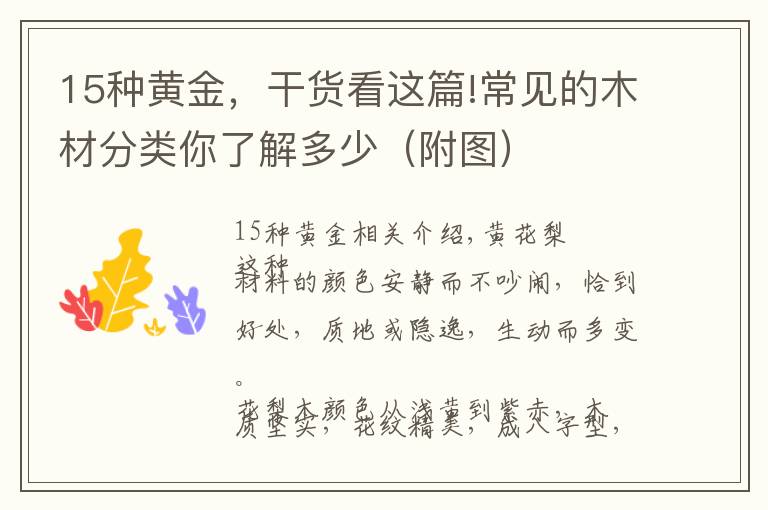 15种黄金,干货看这篇!常见的木材分类你了解多少(附图)