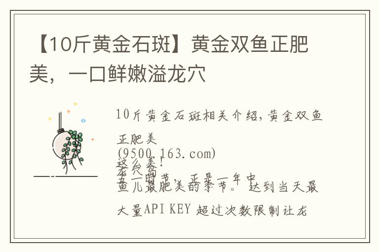 【10斤黄金石斑】黄金双鱼正肥美,一口鲜嫩溢龙穴