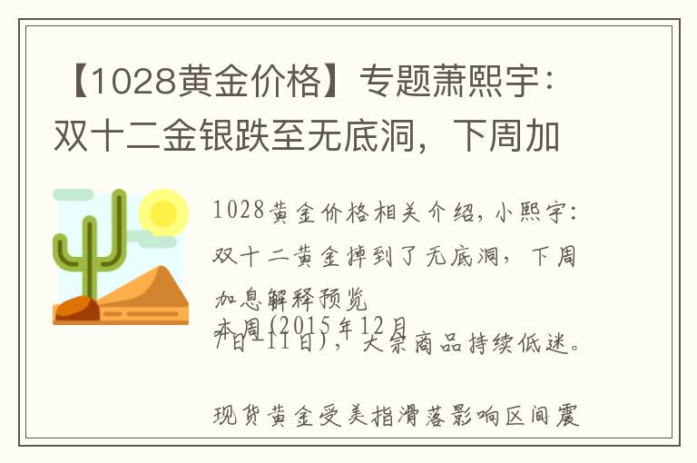 【1028黄金价格】专题萧熙宇：双十二金银跌至无底洞，下周加息解读提前看