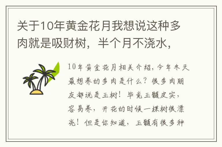 关于10年黄金花月我想说这种多肉就是吸财树,半个月不浇水,照样长得手腕粗!