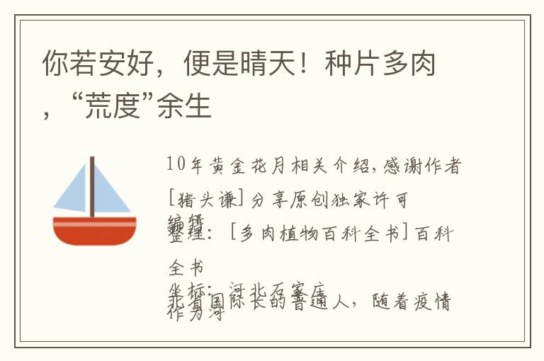 你若安好,便是晴天!种片多肉,“荒度”余生