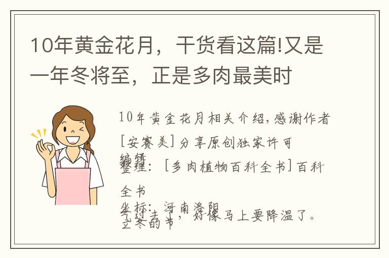 10年黄金花月,干货看这篇!又是一年冬将至,正是多肉最美时