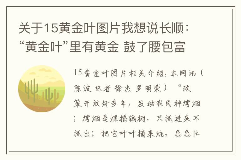 关于15黄金叶图片我想说长顺:“黄金叶”里有黄金 鼓了腰包富了民