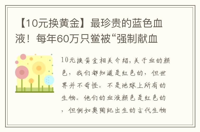 【10元换黄金】最珍贵的蓝色血液！每年60万只鲎被“强制献血”，1升能卖10万