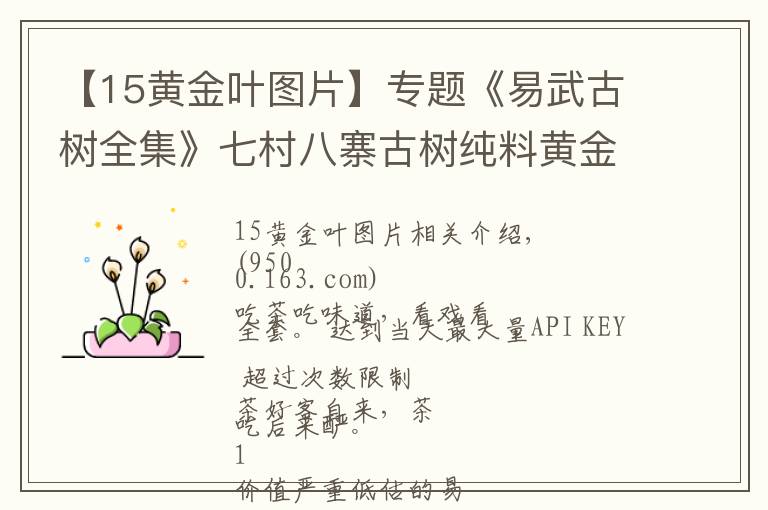 【15黄金叶图片】专题《易武古树全集》七村八寨古树纯料黄金叶大全(7.5斤/套)