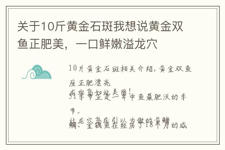 关于10斤黄金石斑我想说黄金双鱼正肥美,一口鲜嫩溢龙穴