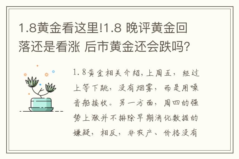 1.8黄金看这里!1.8 晚评黄金回落还是看涨 后市黄金还会跌吗？