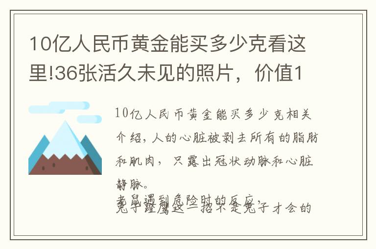 10亿人民币黄金能买多少克看这里!36张活久未见的照片，价值100亿的黄金是多少？这辈子看看也值了