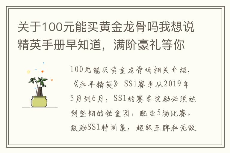 关于100元能买黄金龙骨吗我想说精英手册早知道，满阶豪礼等你取