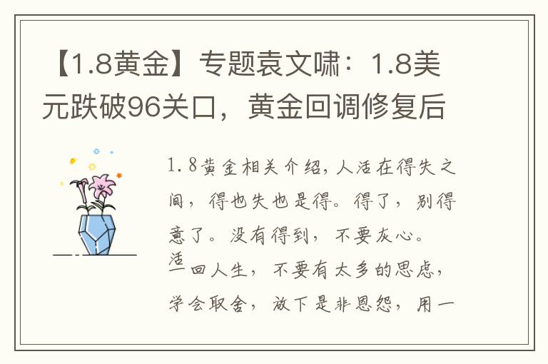 【1.8黄金】专题袁文啸：1.8美元跌破96关口，黄金回调修复后看多不变