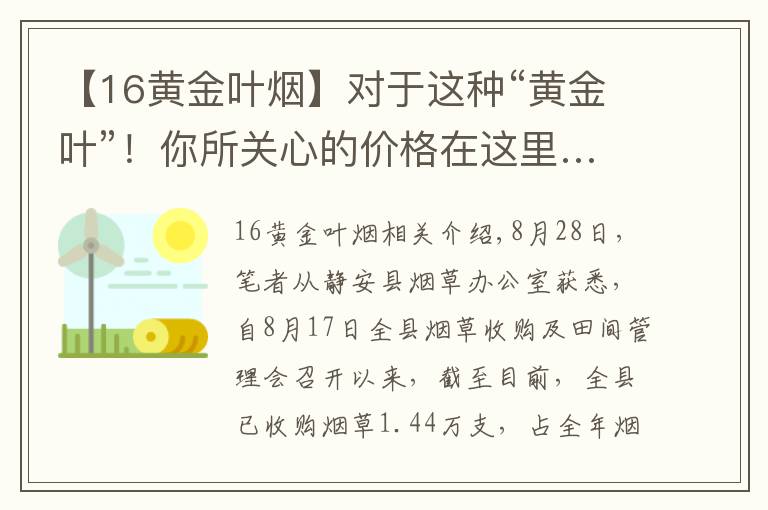 【16黄金叶烟】对于这种“黄金叶”！你所关心的价格在这里……