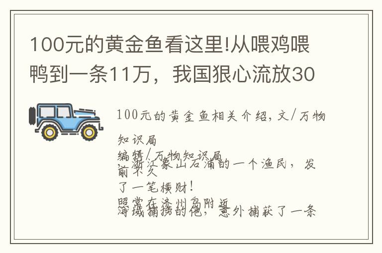 100元的黄金鱼看这里!从喂鸡喂鸭到一条11万，我国狠心流放30年，为何还救不起一条鱼？