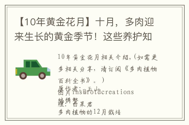 【10年黄金花月】十月,多肉迎来生长的黄金季节!这些养护知识要把握好!