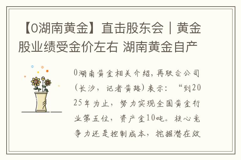 【0湖南黄金】直击股东会｜黄金股业绩受金价左右 湖南黄金自产“成色”亟待提高