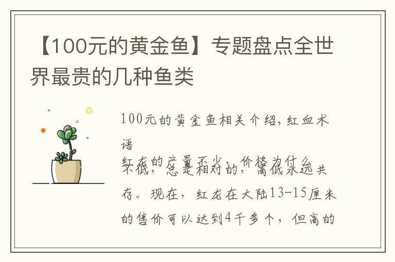 【100元的黄金鱼】专题盘点全世界最贵的几种鱼类