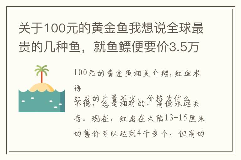 关于100元的黄金鱼我想说全球最贵的几种鱼，就鱼鳔便要价3.5万左右