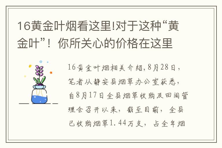 16黄金叶烟看这里!对于这种“黄金叶”！你所关心的价格在这里……