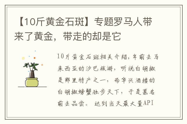 【10斤黄金石斑】专题罗马人带来了黄金,带走的却是它