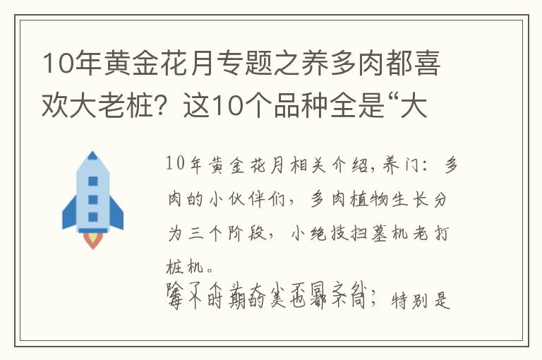 10年黄金花月专题之养多肉都喜欢大老桩?这10个品种全是“大粗腿”,越养越好看!
