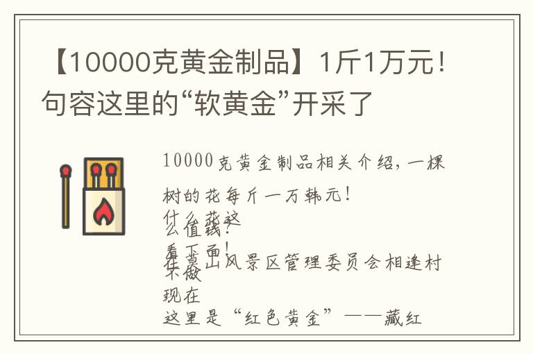 【10000克黄金制品】1斤1万元！句容这里的“软黄金”开采了