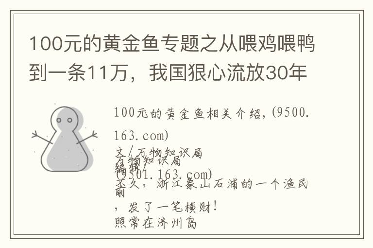 100元的黄金鱼专题之从喂鸡喂鸭到一条11万，我国狠心流放30年，为何还救不起一条鱼？