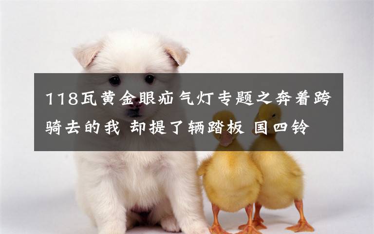 118瓦黄金眼疝气灯专题之奔着跨骑去的我 却提了辆踏板 国四铃木UU125T-2简评