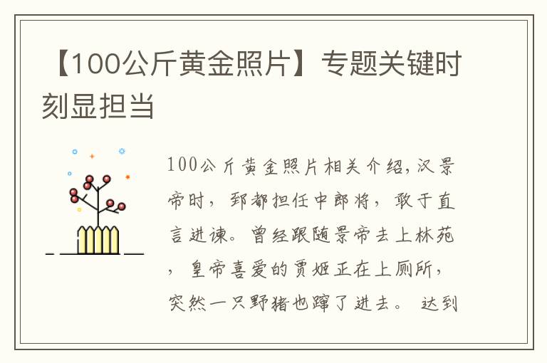 【100公斤黄金照片】专题关键时刻显担当