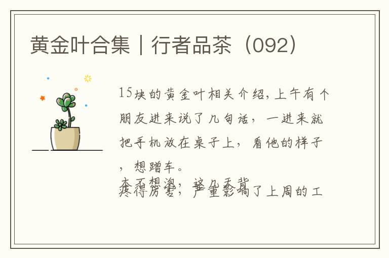 黄金叶合集|行者品茶(092)