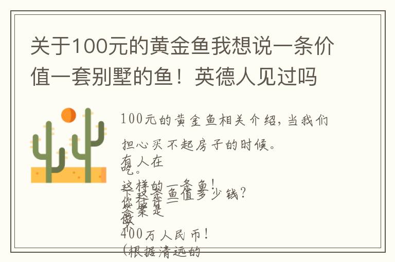 关于100元的黄金鱼我想说一条价值一套别墅的鱼！英德人见过吗？