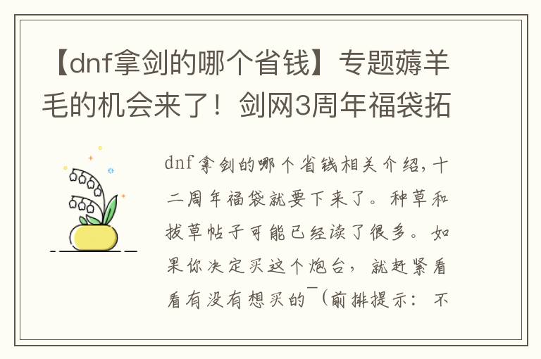 【dnf拿剑的哪个省钱】专题薅羊毛的机会来了!剑网3周年福袋拓印折扣券买什么最划算?