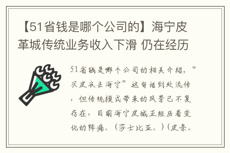 【51省钱是哪个公司的】海宁皮革城传统业务收入下滑 仍在经历转型阵痛