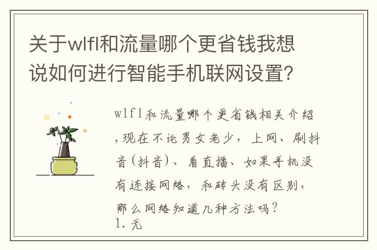 关于wlfl和流量哪个更省钱我想说如何进行智能手机联网设置？选择wifi，流量还是个人热点？