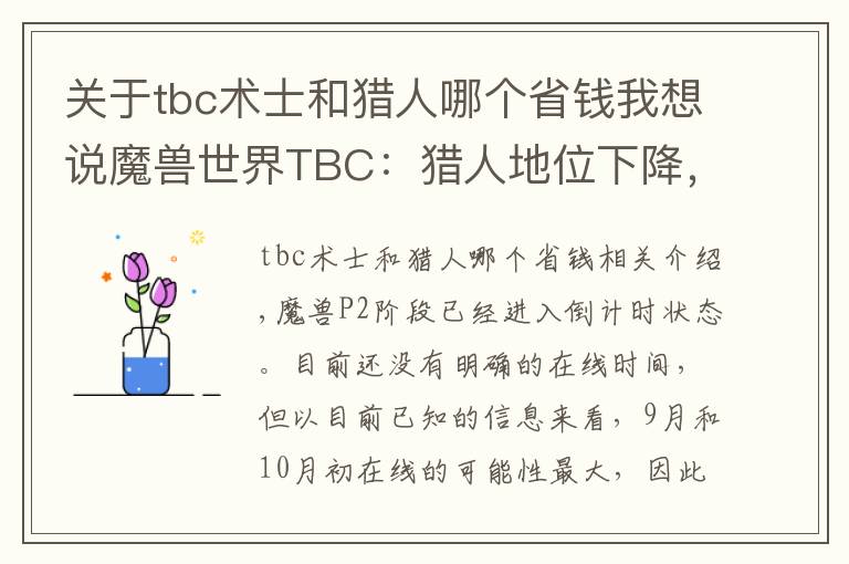 关于tbc术士和猎人哪个省钱我想说魔兽世界TBC：猎人地位下降，术士称王，P2职业该如何选择？