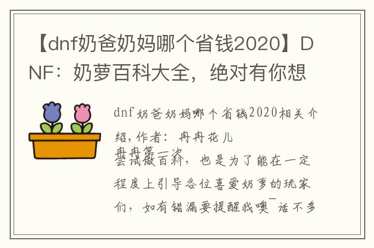 【dnf奶爸奶妈哪个省钱2020】DNF：奶萝百科大全，绝对有你想要的