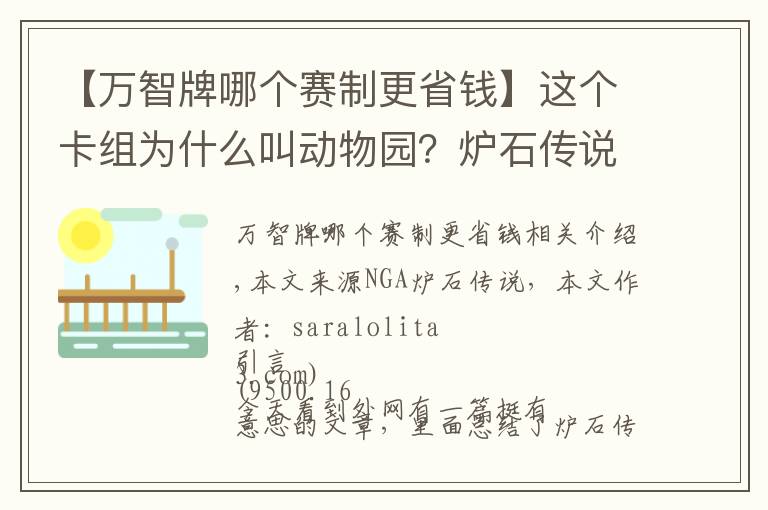 【万智牌哪个赛制更省钱】这个卡组为什么叫动物园？炉石传说套牌的命名方法