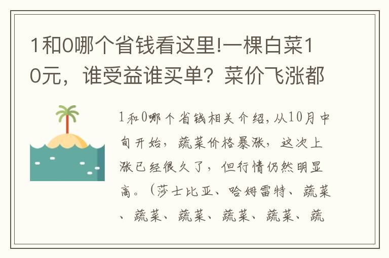 1和0哪个省钱看这里!一棵白菜10元,谁受益谁买单?菜价飞涨都怪二道贩子?别误解了