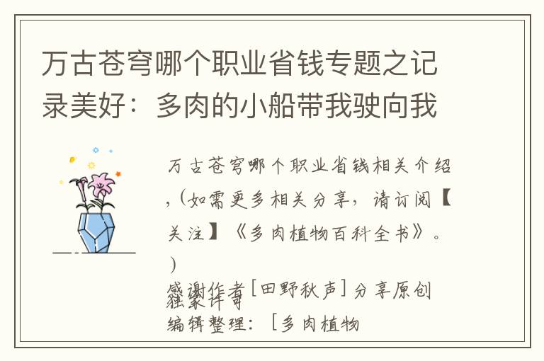 万古苍穹哪个职业省钱专题之记录美好:多肉的小船带我驶向我心中的诗和远方