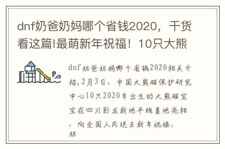 dnf奶爸奶妈哪个省钱2020，干货看这篇!最萌新年祝福！10只大熊猫宝宝向全国人民“拜年”