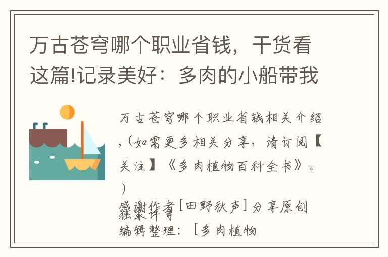 万古苍穹哪个职业省钱,干货看这篇!记录美好:多肉的小船带我驶向我心中的诗和远方