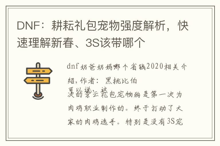 DNF:耕耘礼包宠物强度解析,快速理解新春、3S该带哪个