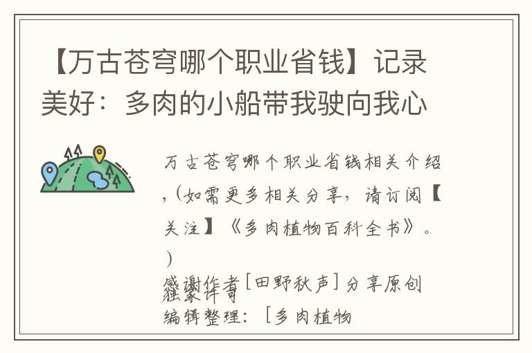 【万古苍穹哪个职业省钱】记录美好:多肉的小船带我驶向我心中的诗和远方