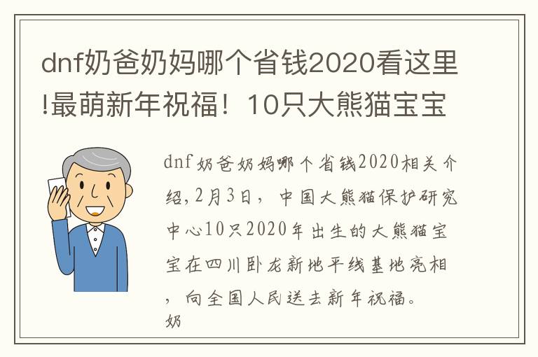 dnf奶爸奶妈哪个省钱2020看这里!最萌新年祝福！10只大熊猫宝宝向全国人民“拜年”