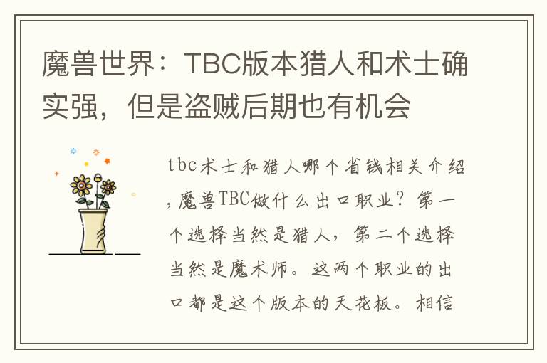 魔兽世界:TBC版本猎人和术士确实强,但是盗贼后期也有机会
