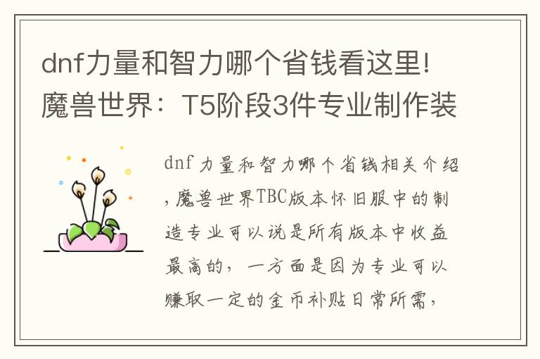 dnf力量和智力哪个省钱看这里!魔兽世界：T5阶段3件专业制作装备，成本“白菜价”，部分职业BIS