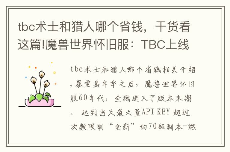 tbc术士和猎人哪个省钱,干货看这篇!魔兽世界怀旧服:TBC上线以后,首发猎人的玩家,会不会后悔?