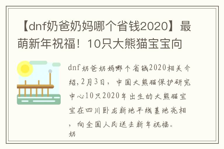 【dnf奶爸奶妈哪个省钱2020】最萌新年祝福！10只大熊猫宝宝向全国人民“拜年”