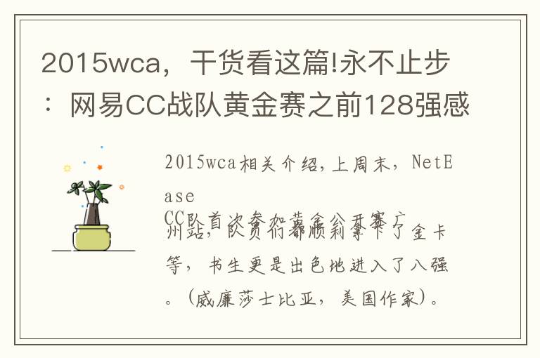 2015wca,干货看这篇!永不止步:网易CC战队黄金赛之前128强感想