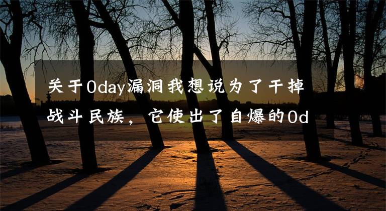 关于0day漏洞我想说为了干掉战斗民族,它使出了自爆的0day漏洞